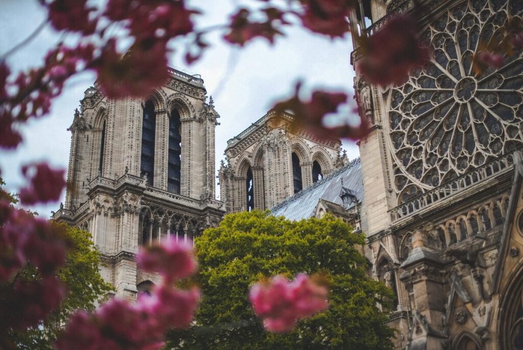 Visit Notre Dame Cathedral