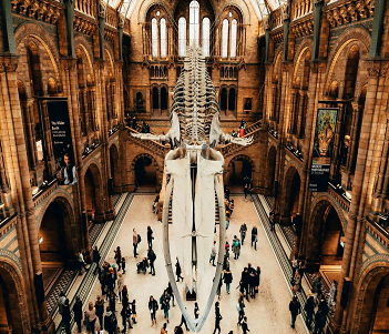 Natural History Museum in London: Explore our Beautiful Planet