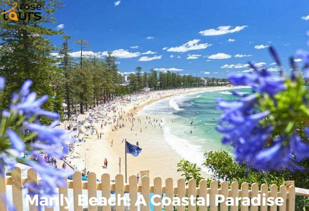 Manly Beach A Coastal Paradise