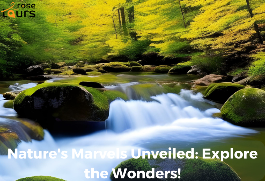 Natures Marvels Unveiled Explore the Wonders