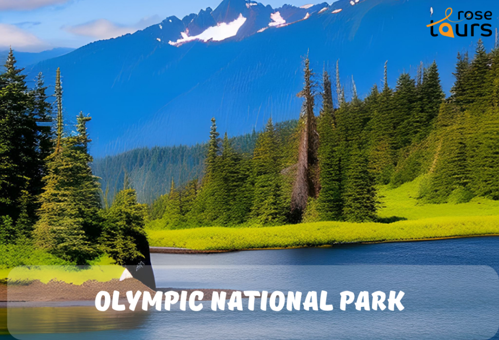 Olympic National Park