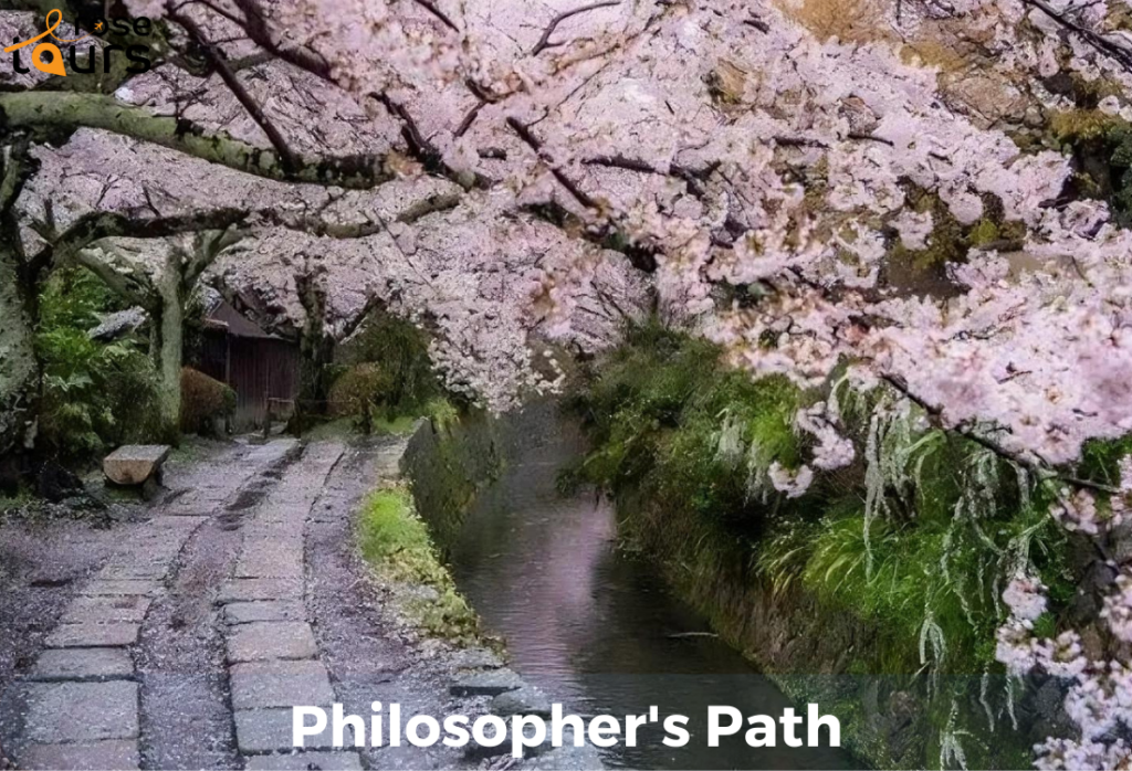 Philosophers Path