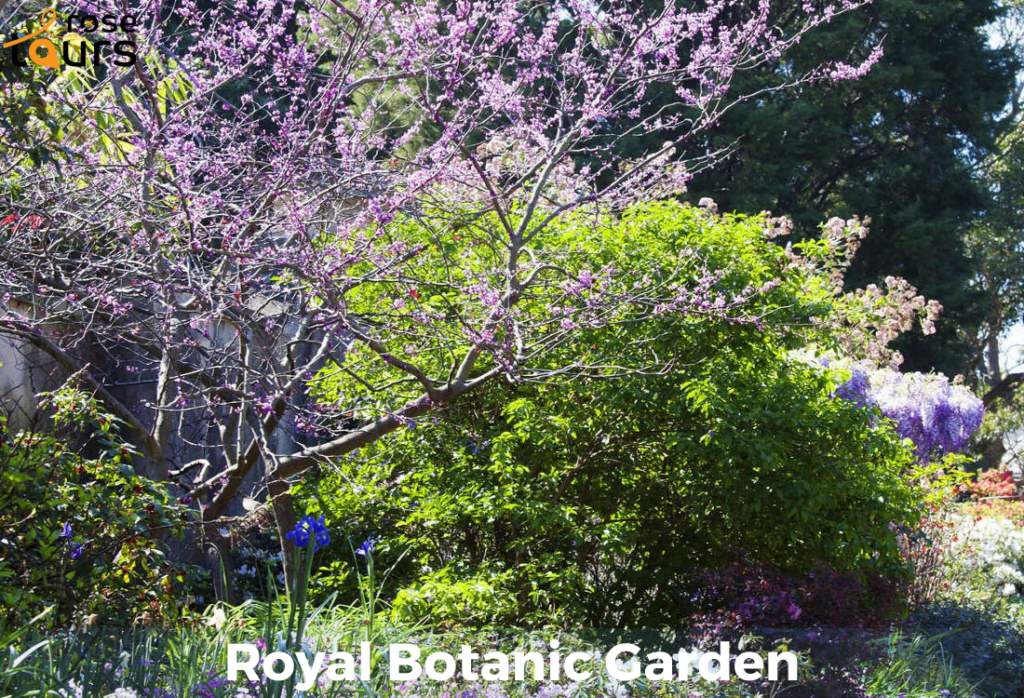 Royal Botanic Garden Serenity in the Heart of the City