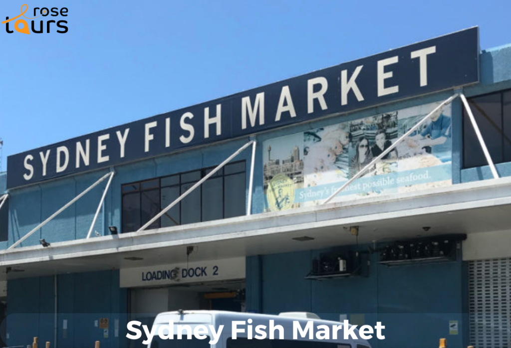 Sydney Fish Market A Seafood Lovers Paradise