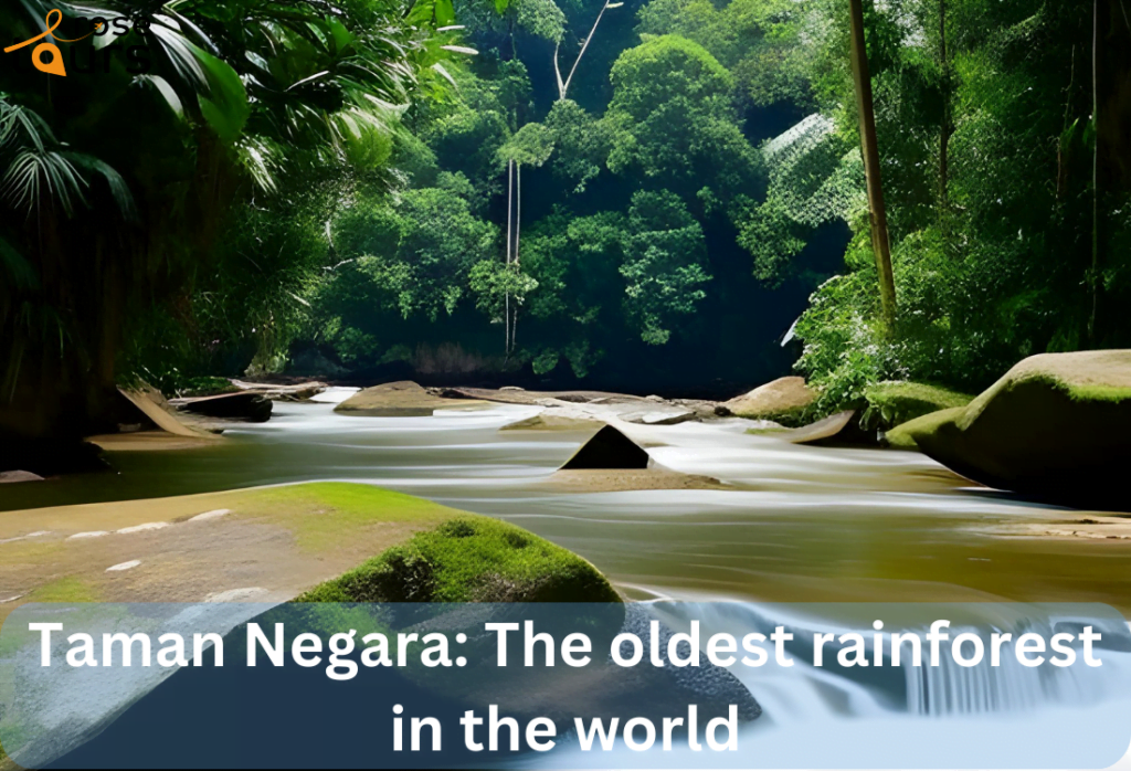 Taman Negara The oldest rainforest in the world