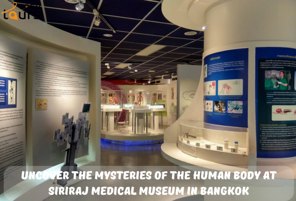 Uncover the Mysteries of the Human Body at Siriraj Medical Museum in Bangkok