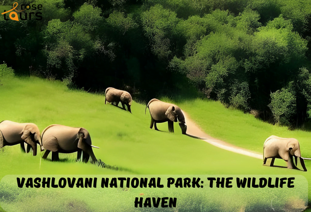 Vashlovani National Park The Wildlife Haven