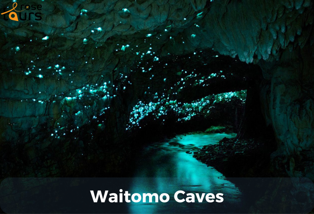 Waitomo Caves