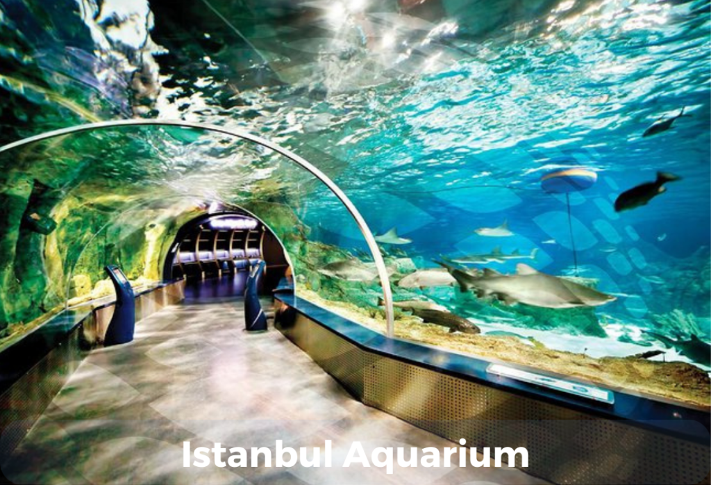 Istanbul Aquarium