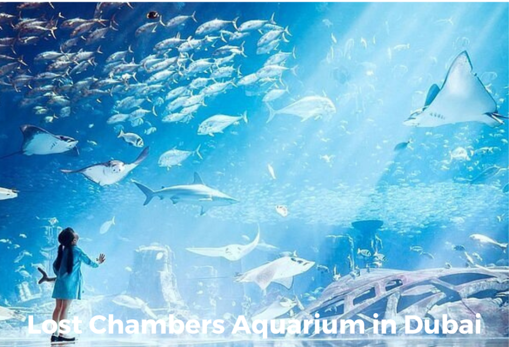 Lost Chambers Aquarium in Dubai