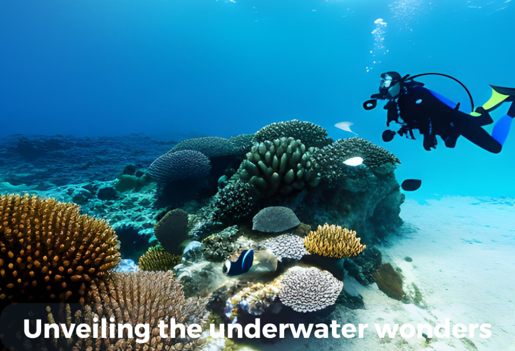 Unveiling the underwater wonders