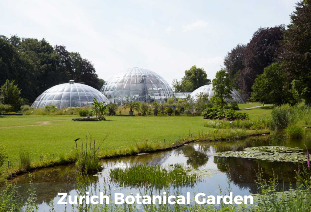 Zurich Botanical Garden