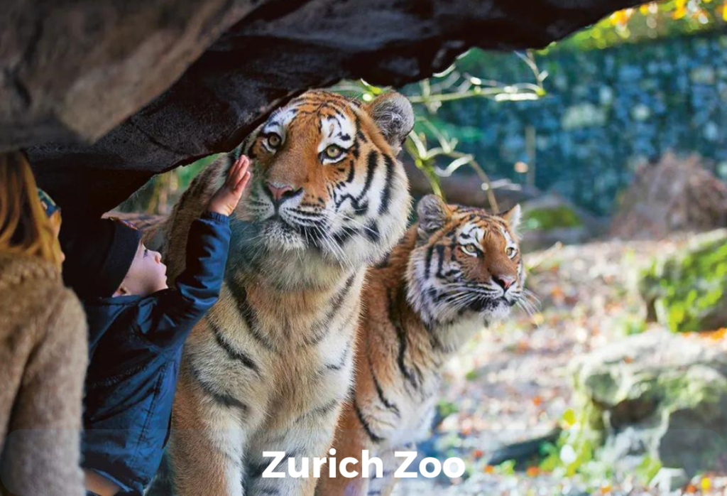 Zurich Zoo