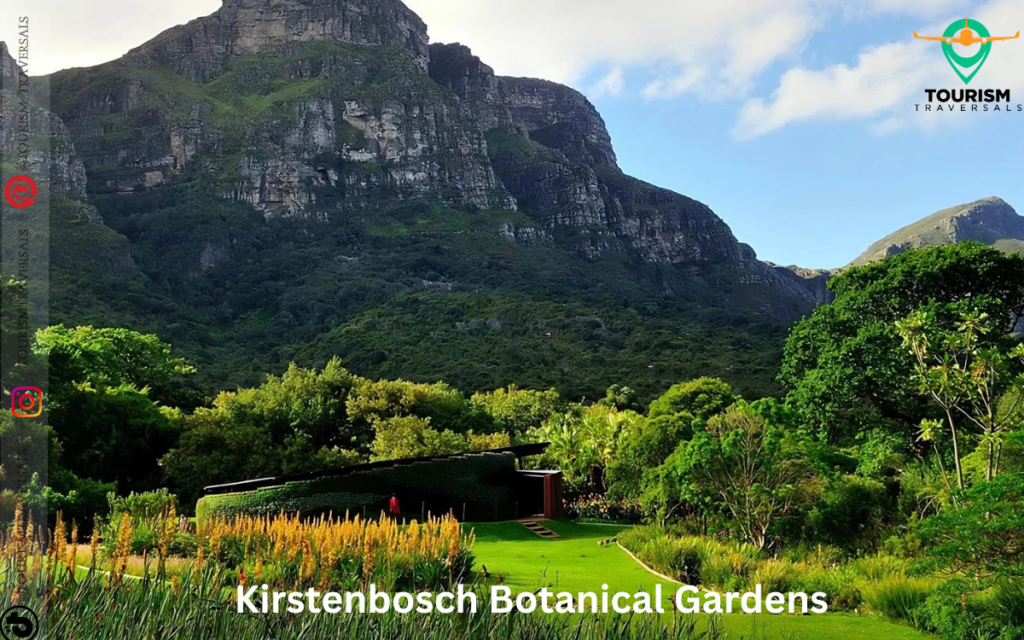 Kirstenbosch Botanical Gardens